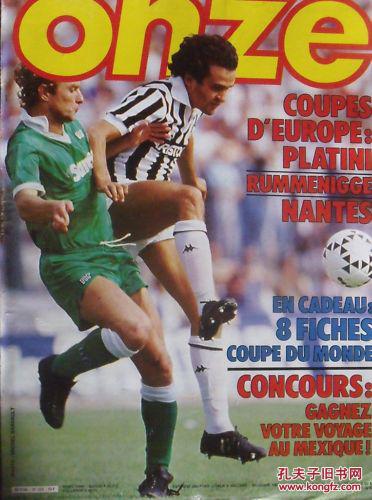 模型迅速微 模型迅速微